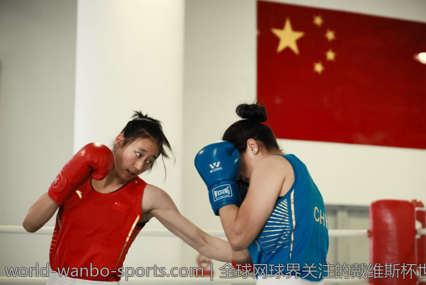 全球网球界关注的戴维斯杯世界组网球团体赛赛程与精彩亮点